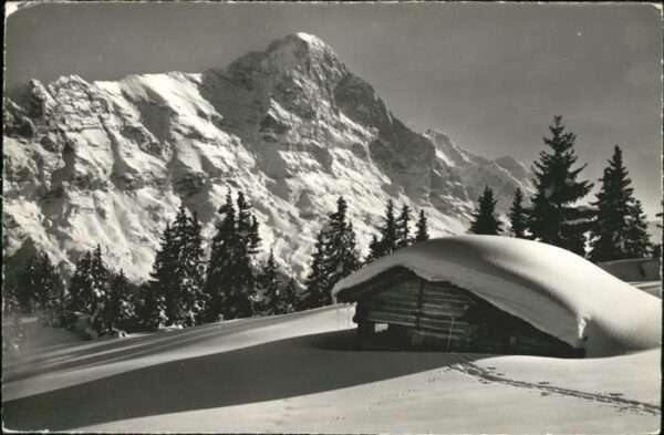 Grindelwald Eiger Jungfrau