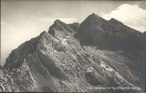 Saentis AR Tierwies Gyrenspitze