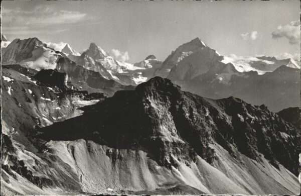 Bella Tola Rhone