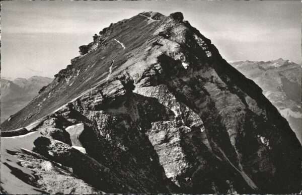 Bella Tola Rhone