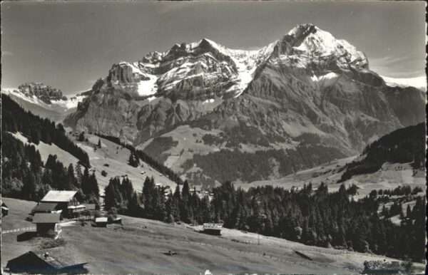Adelboden Schermtanne