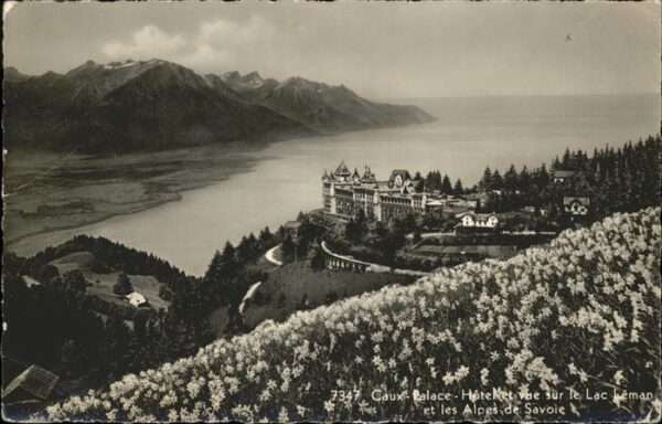 Lac Leman Genfersee Caux Palace