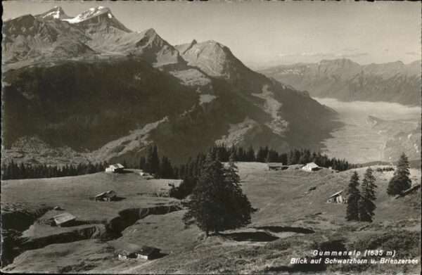 Gummen Alp Schwarzhorn Brienzersee