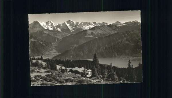 Beatenberg Alp Burgfeld Jungfraukette