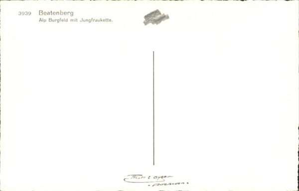 Beatenberg Alp Burgfeld Jungfraukette – Bild 2