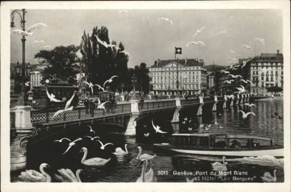 Geneve GE Pont du Mont Blanc Schwan