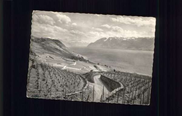 Lavaux VD