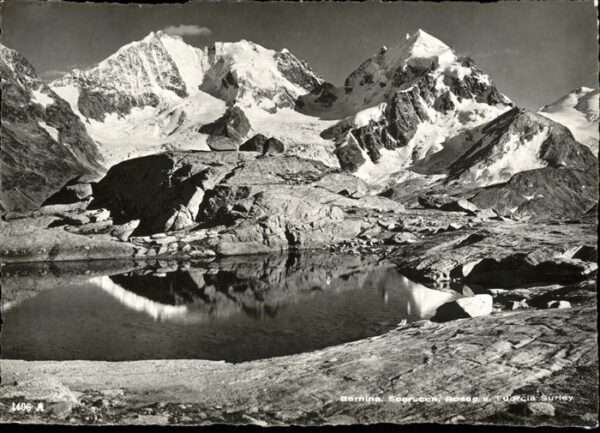 Bernina