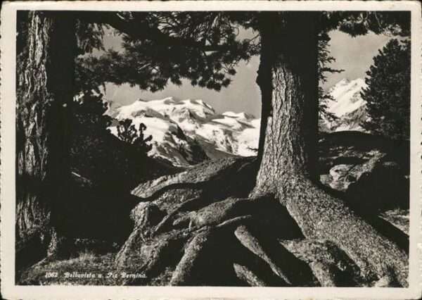 Piz Bernina