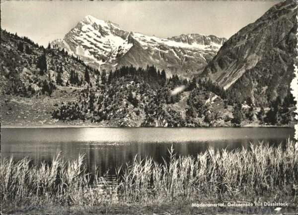 Golzernsee Düssistock