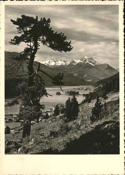 Silvaplana Piz Margna