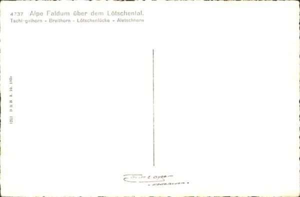 Faldum Rothorn Alpe – Bild 2