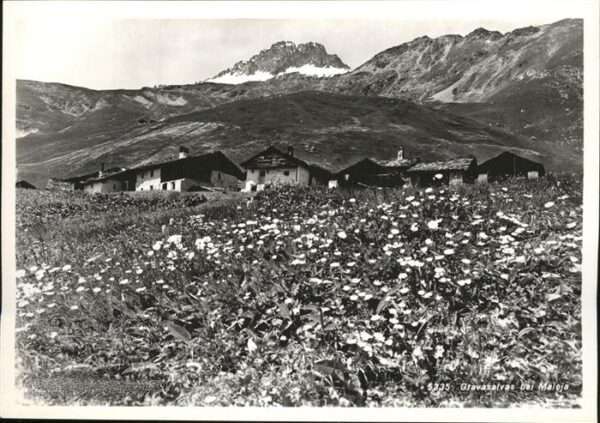 Maloja GR Gravasalvas