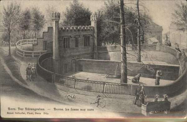 Bern BE Zoo
Bärengraben
