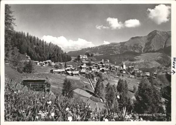Tschiertschen Panorama