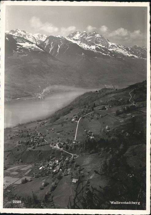 Walenstadtberg Panorama