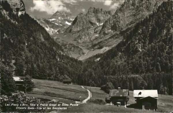 Les Plans-sur-Bex Tete a Pierre Grept Chalets Beau