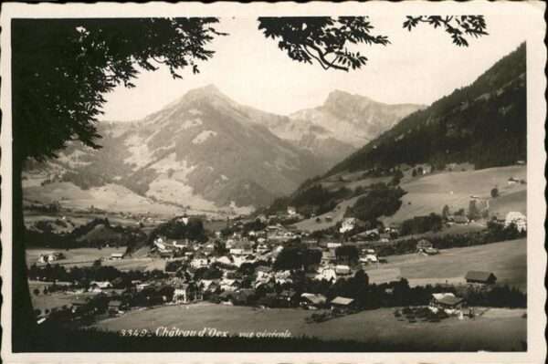 Chateau-d Oex Gesamtansicht