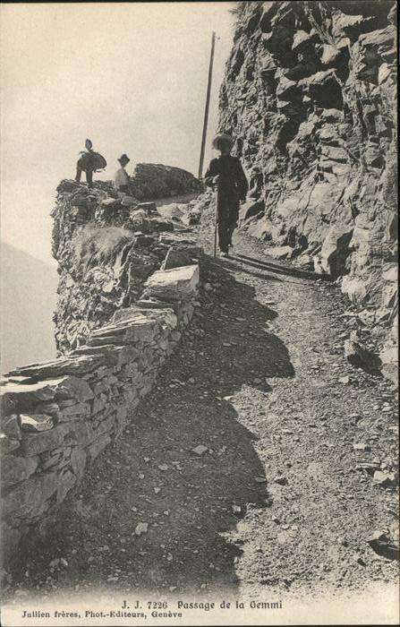 Gemmipass Wallis