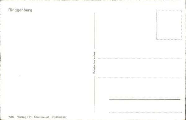 Ringgenberg Gesamtansicht – Bild 2