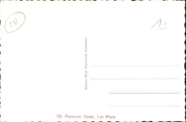Les Plans-sur-Bex Gesamtansicht – Bild 2