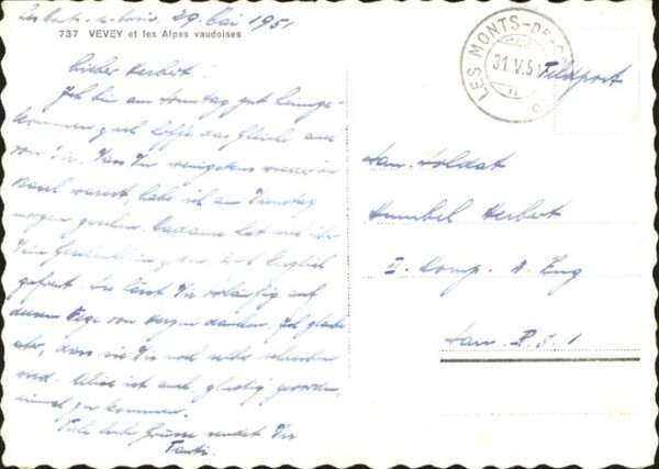 Vevey VD Gesamtansicht Alpes vaudoises – Bild 2