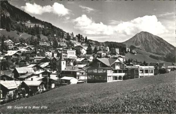 Leysin Mont d_or