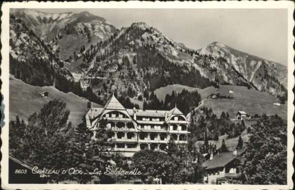 Chateau-d Oex Soldanelle