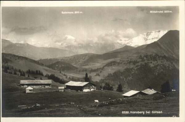Hornberg Saanenmoeser Wildstrubel Balmhorn