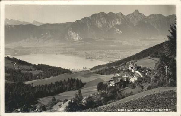 Goldiwil