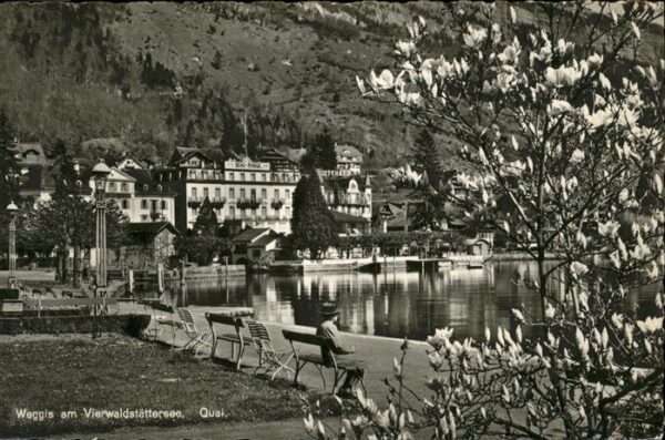 Weggis Vierwaldstaettersee Quai