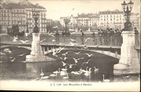 Geneve GE Mouettes Schwan Brücke
