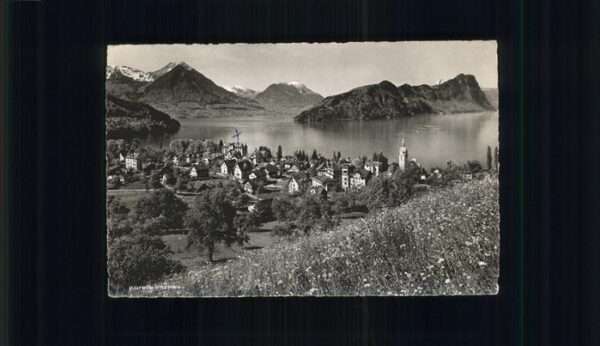 Vitznau Stanserhorn Bürgenstock