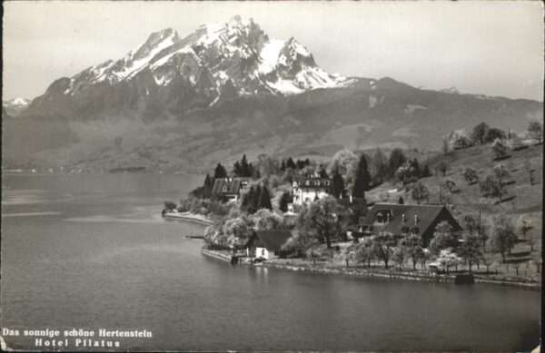 Hertenstein LU Hotel Pilatus