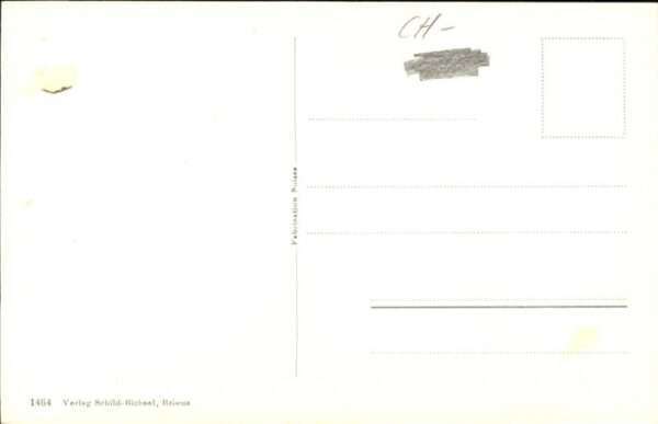 Iseltwald Strand Hotel – Bild 2