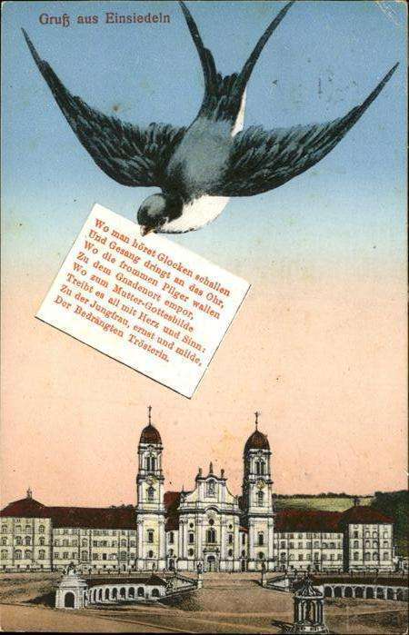 Einsiedeln SZ Vogel