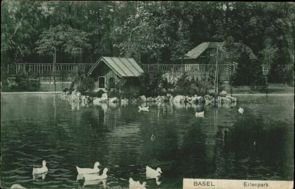 Basel BS Erlenpark Schwan