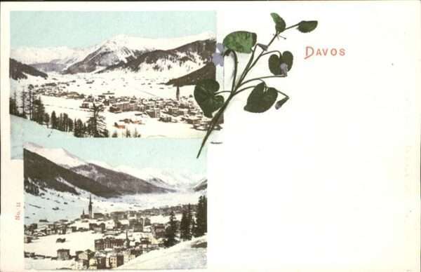 Davos GR Blume