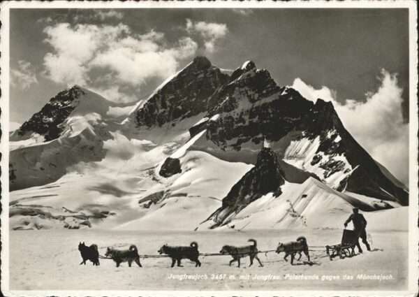 Jungfraujoch Polarhunde Jungfrau Mönchsjoch