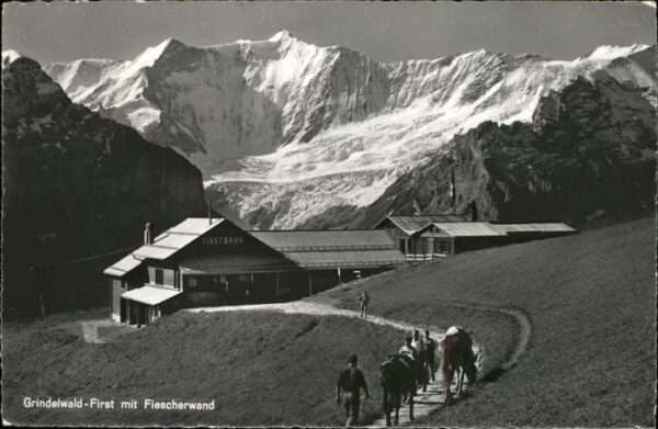 Grindelwald Fiescherwand Pferd