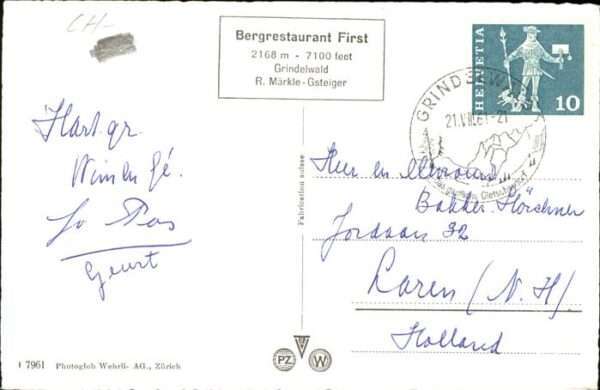 Grindelwald Fiescherwand Pferd – Bild 2