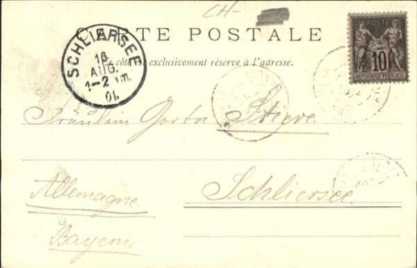 Mont Blanc Pferd – Bild 2