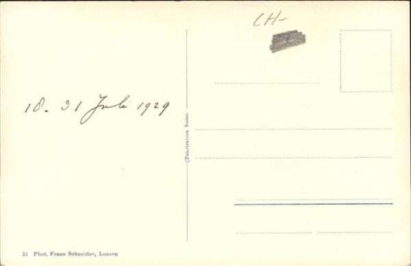 Beckenried Park Hotel Nidwaldnerhof – Bild 2