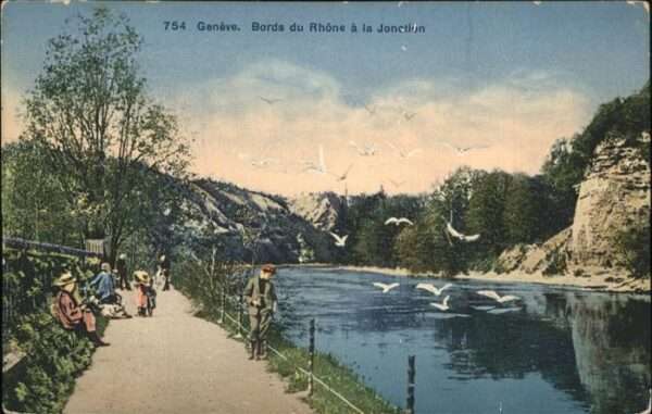 Geneve GE Bords Rhone Schwan