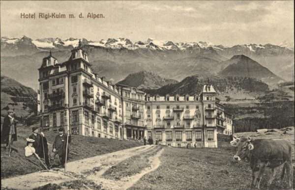 Rigi Kulm Hotel Kühe
