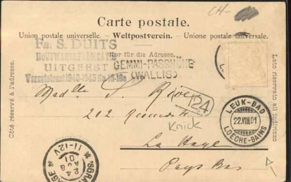 Gemmipass Wallis – Bild 2