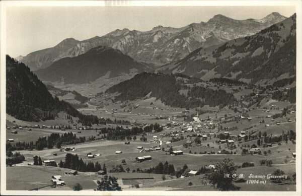 Saanen Gessenay