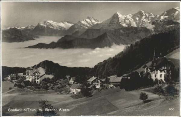 Goldiwil