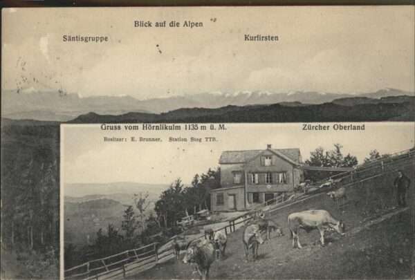 Hoernli Kulm Säntisgruppe Kurfirsten Kühe