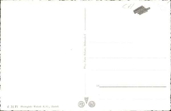 Basel BS Flugaufnahme Rhein – Bild 2